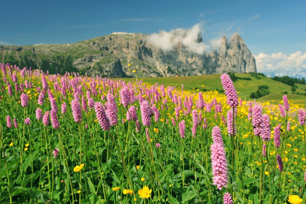 Garni Alpin Hotel Siusi Luaran gambar
